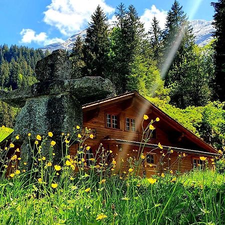 Alpenlodge Willigen Exteriér fotografie