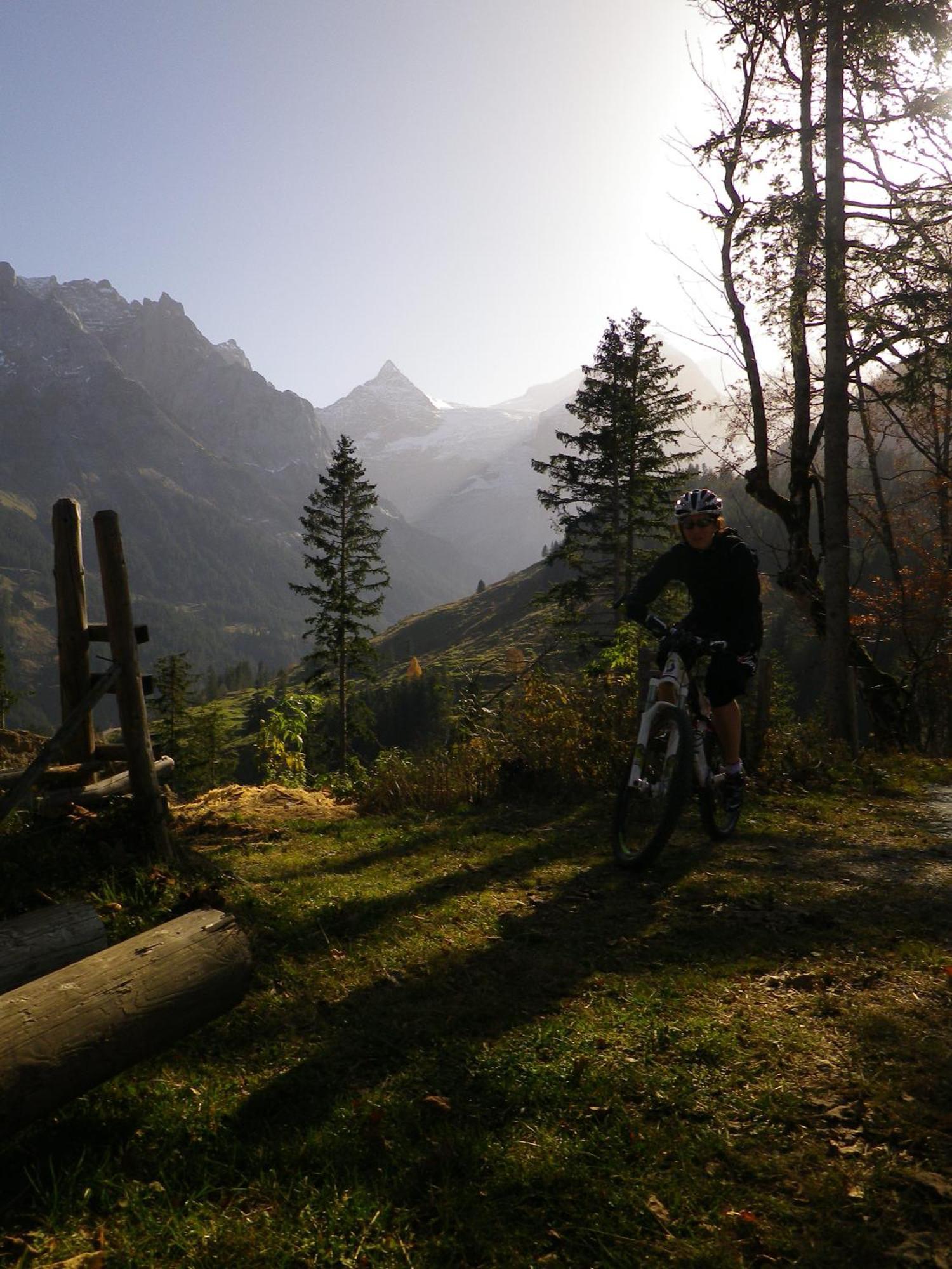 Alpenlodge Willigen Exteriér fotografie