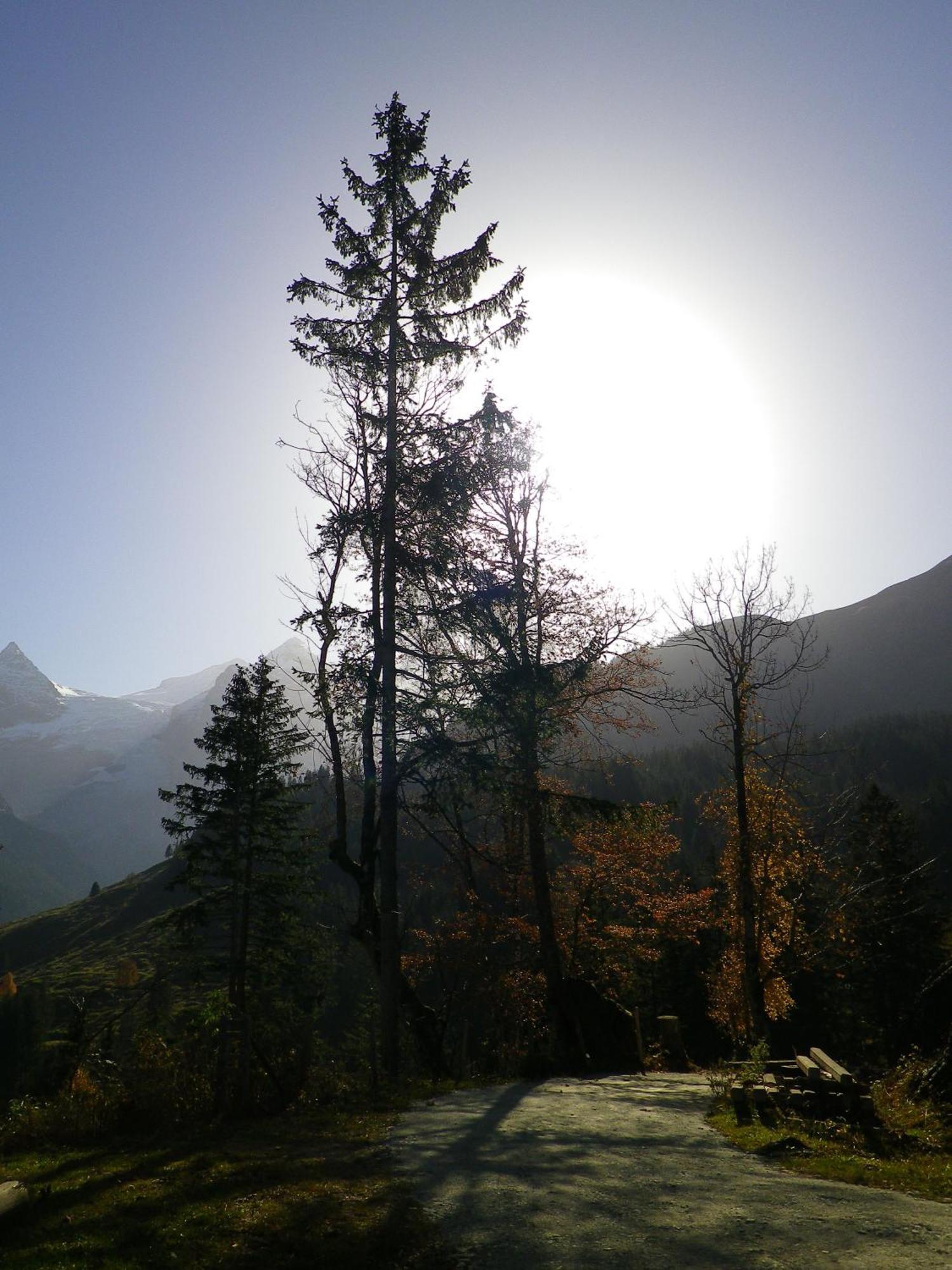 Alpenlodge Willigen Exteriér fotografie