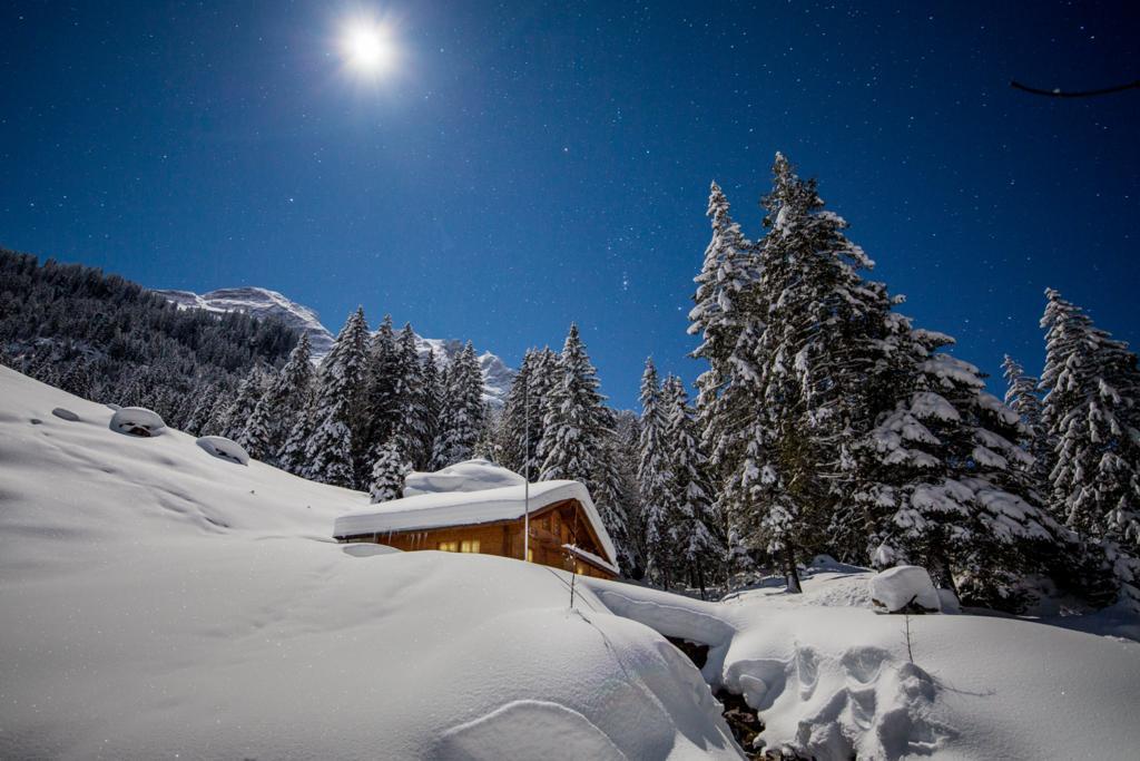 Alpenlodge Willigen Exteriér fotografie
