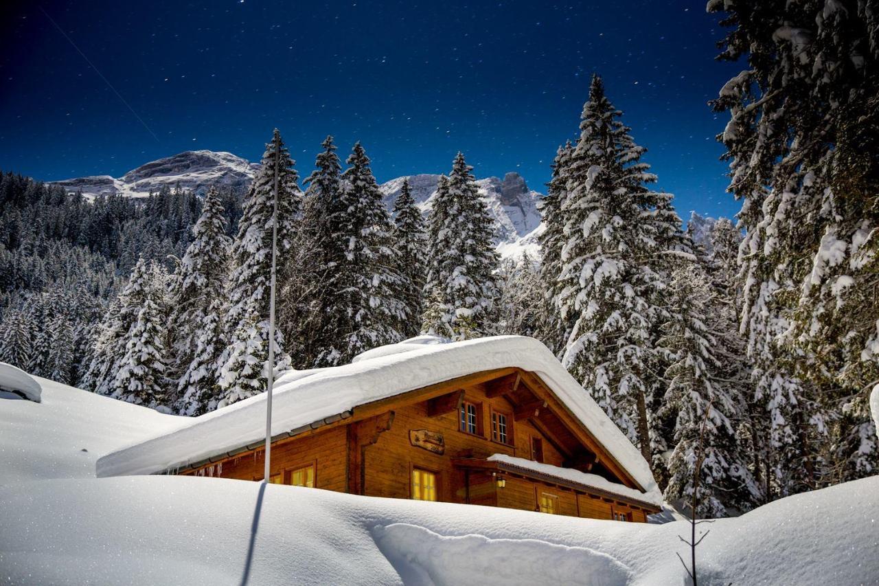 Alpenlodge Willigen Exteriér fotografie