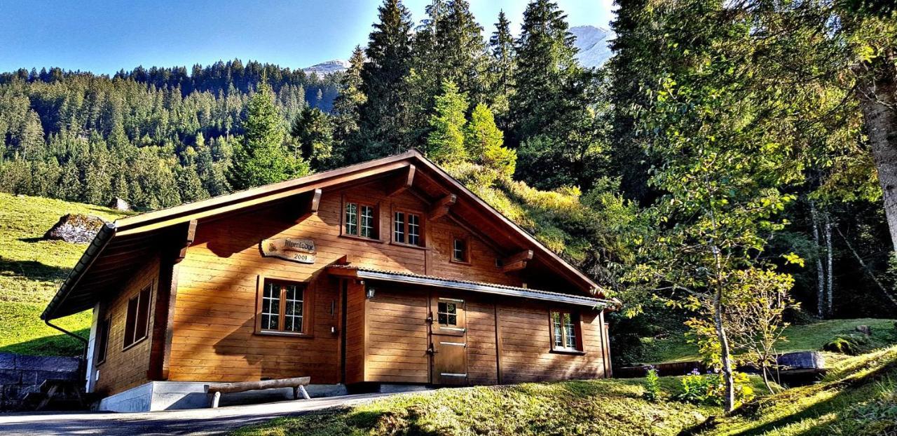 Alpenlodge Willigen Exteriér fotografie