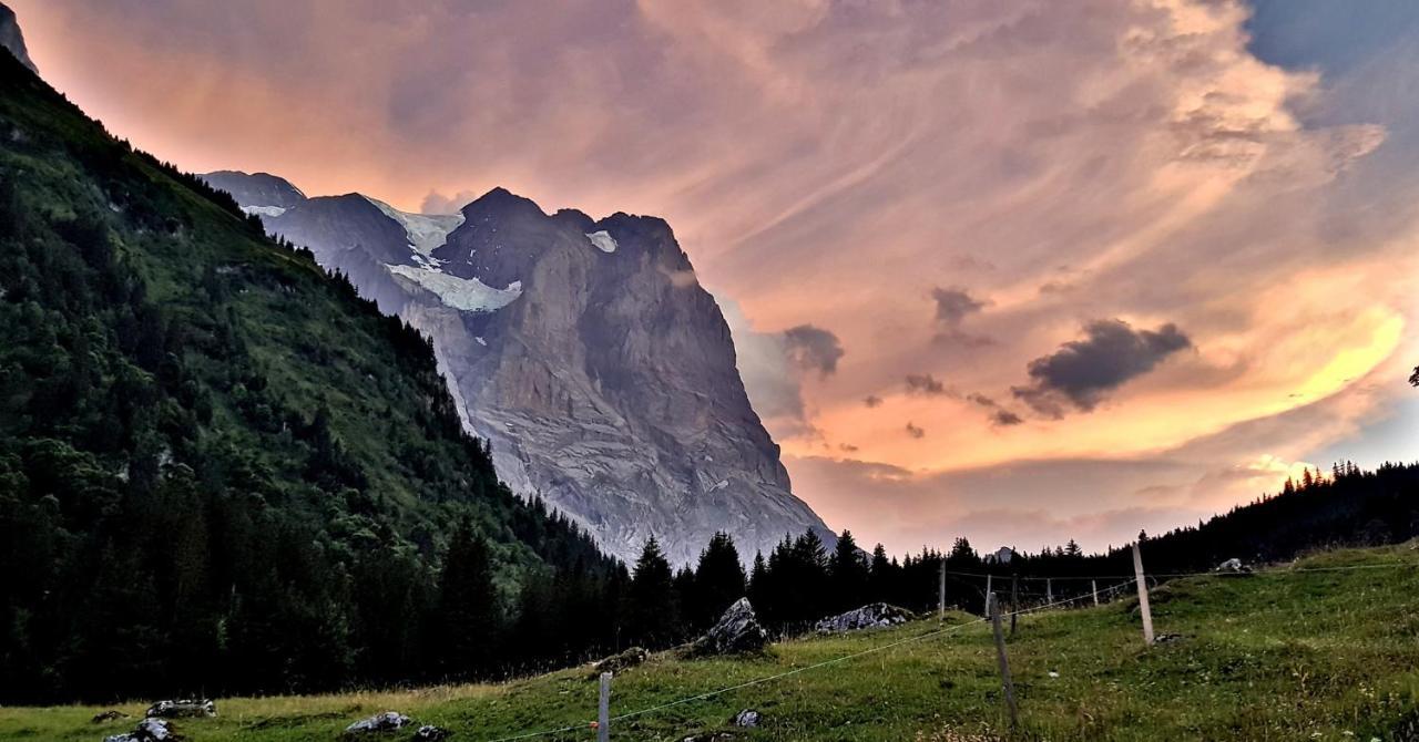 Alpenlodge Willigen Exteriér fotografie