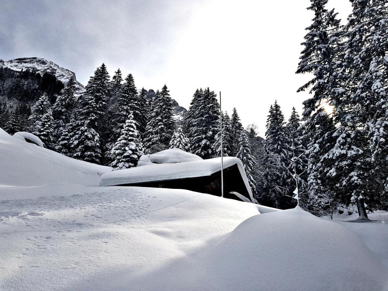 Alpenlodge Willigen Exteriér fotografie