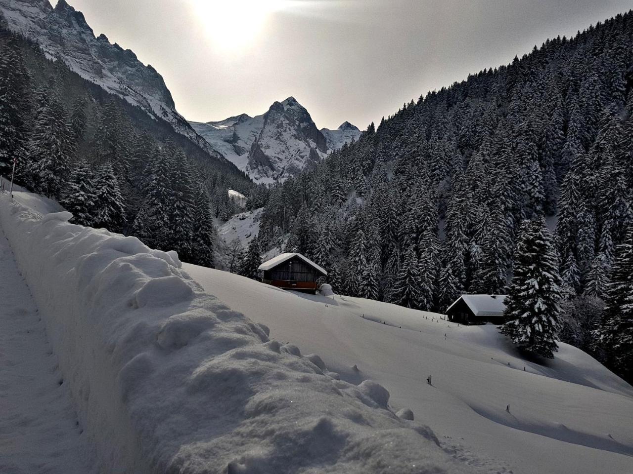 Alpenlodge Willigen Exteriér fotografie