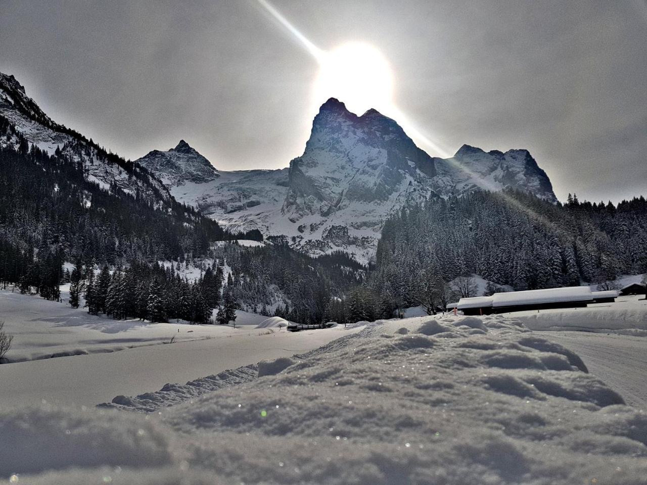 Alpenlodge Willigen Exteriér fotografie