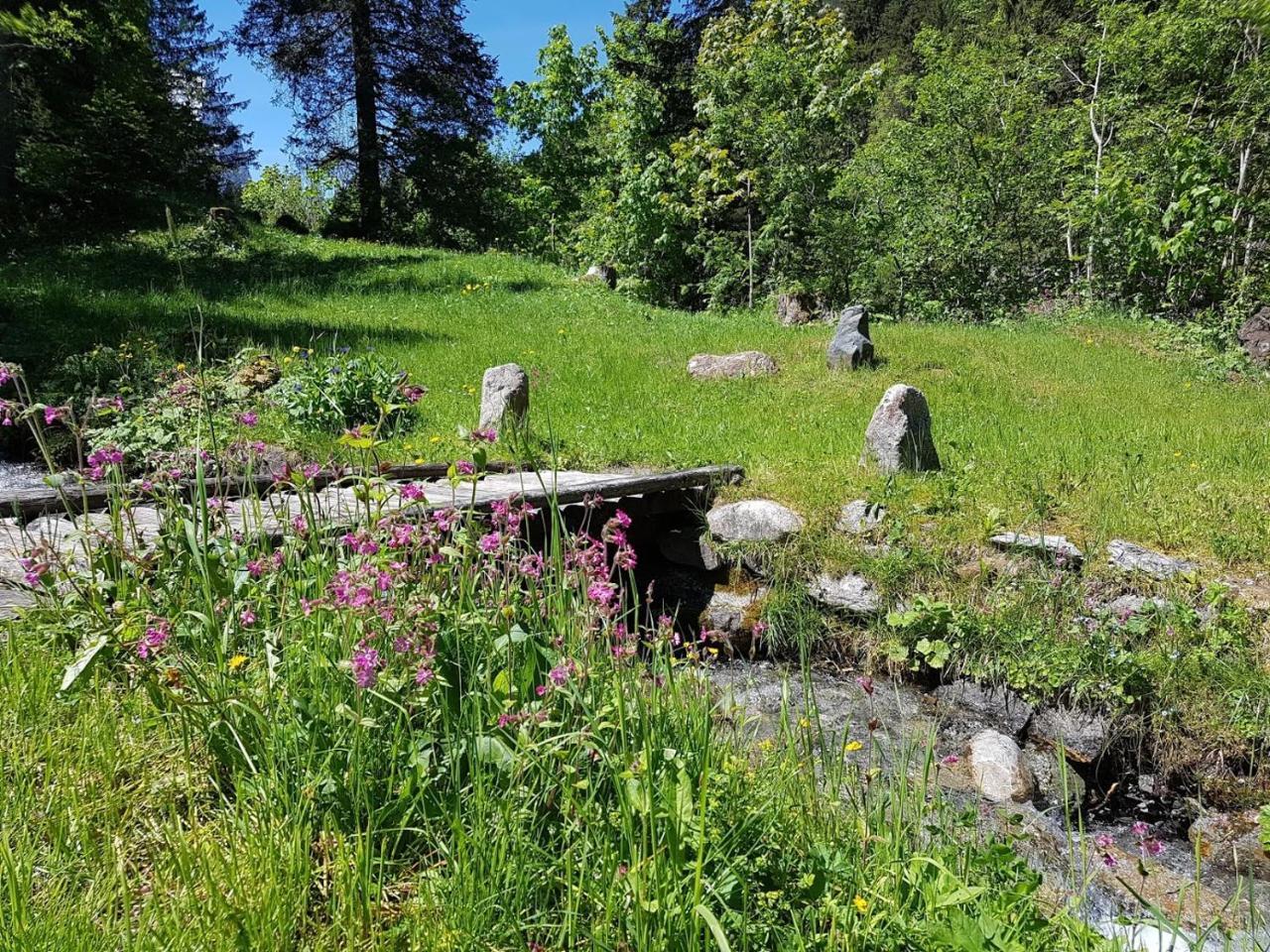 Alpenlodge Willigen Exteriér fotografie