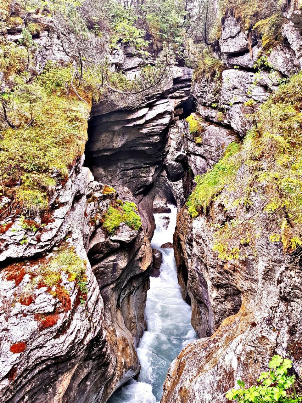 Alpenlodge Willigen Exteriér fotografie