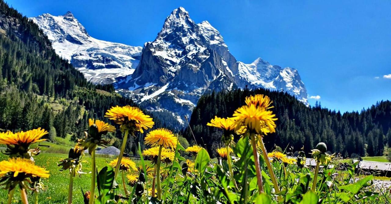 Alpenlodge Willigen Exteriér fotografie