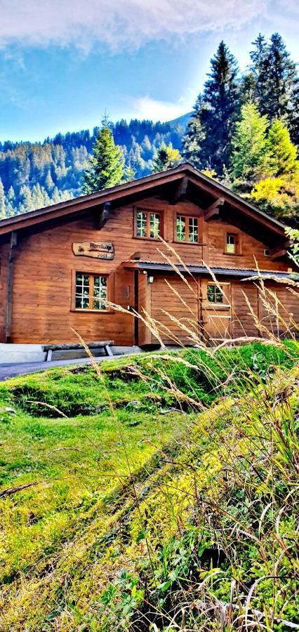Alpenlodge Willigen Exteriér fotografie