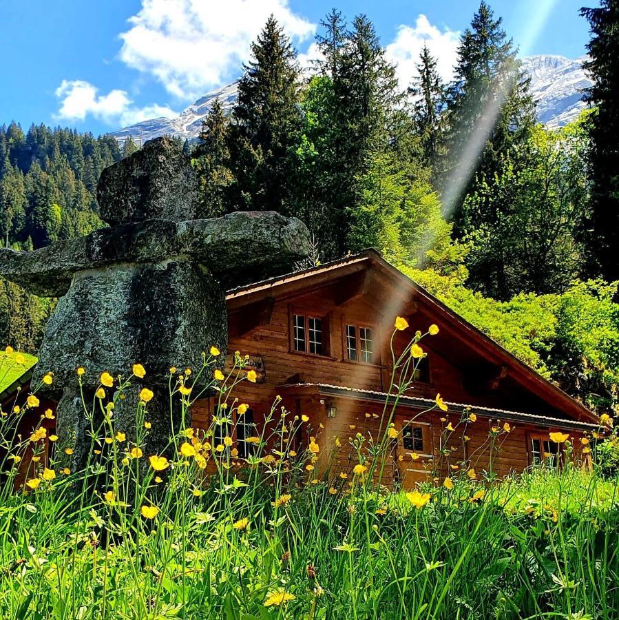 Alpenlodge Willigen Exteriér fotografie
